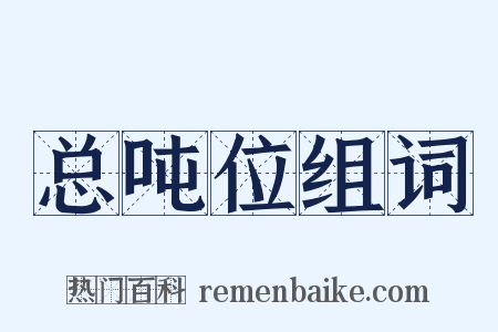 总吨位组词是什么意思的图片